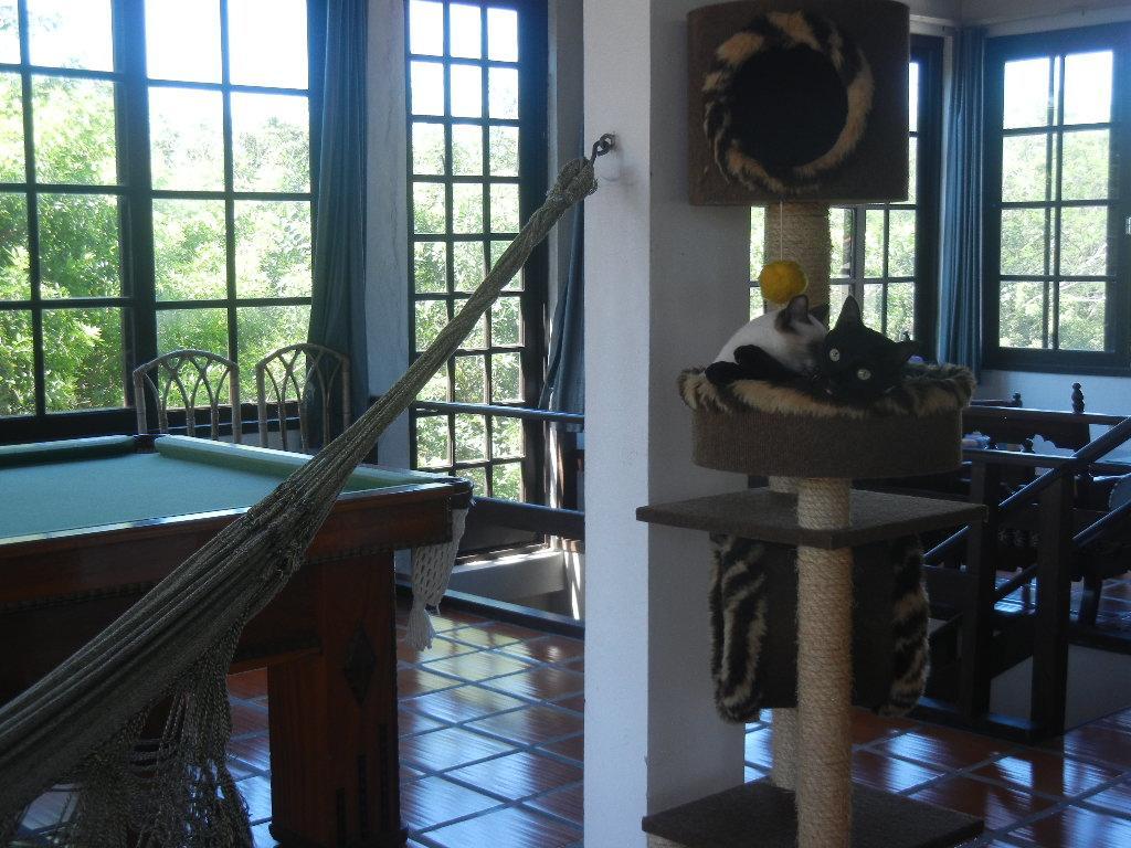 The Cats' House Hotel Florianópolis Екстериор снимка