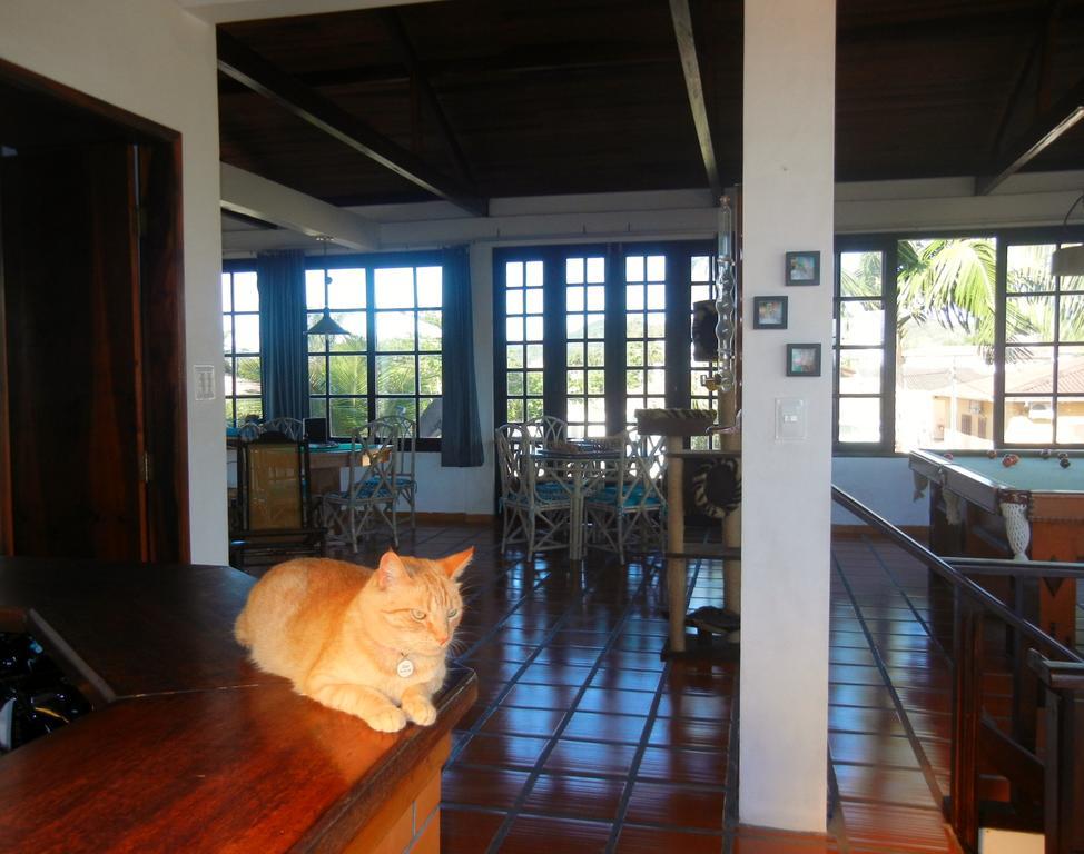 The Cats' House Hotel Florianópolis Екстериор снимка