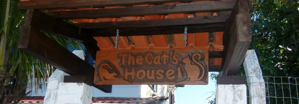 The Cats' House Hotel Florianópolis Екстериор снимка
