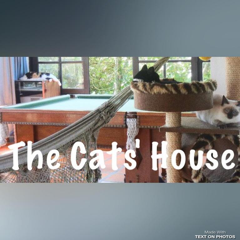 The Cats' House Hotel Florianópolis Екстериор снимка